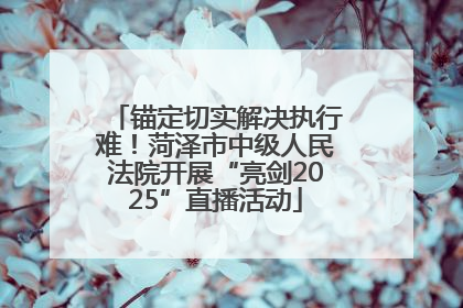 锚定切实解决执行难！菏泽市中级人民法院开展“亮剑2025”直播活动