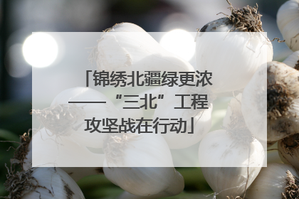 锦绣北疆绿更浓——“三北”工程攻坚战在行动
