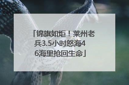 锦旗如炬！莱州老兵3.5小时怒海46海里抢回生命