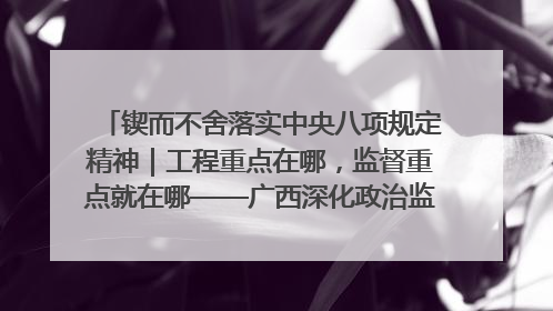 锲而不舍落实中央八项规定精神｜工程重点在哪，监督重点就在哪——广西深化政治监督护航平陆运河建设