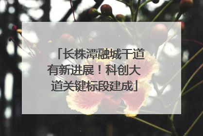 长株潭融城干道有新进展！科创大道关键标段建成