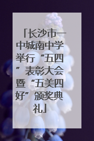 长沙市一中城南中学举行“五四”表彰大会暨“五美四好”颁奖典礼