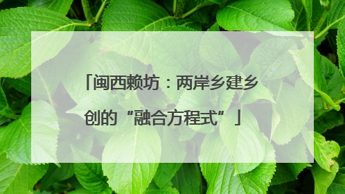闽西赖坊：两岸乡建乡创的“融合方程式”