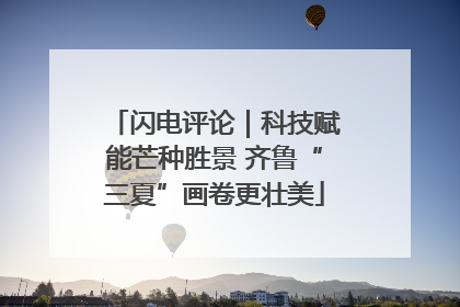 闪电评论｜科技赋能芒种胜景 齐鲁“三夏”画卷更壮美