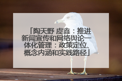 陶天野 虞鑫：推进新闻宣传和网络舆论一体化管理：政策定位、概念内涵和实践路径