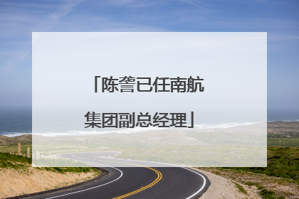 陈詟已任南航集团副总经理