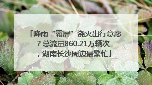 降雨“霸屏”浇灭出行意愿？总流量860.21万辆次，湖南长沙周边最繁忙