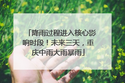 降雨过程进入核心影响时段！未来三天，重庆中雨大雨暴雨