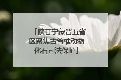 陕甘宁蒙晋五省区聚焦古脊椎动物化石司法保护