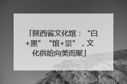 陕西省文化馆：“白+黑”“馆+景”，文化供给向美而聚