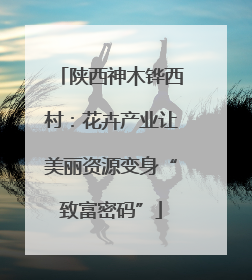 陕西神木铧西村：花卉产业让美丽资源变身“致富密码”