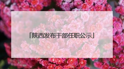 陕西发布干部任职公示