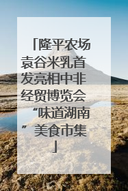 隆平农场袁谷米乳首发亮相中非经贸博览会“味道湖南”美食市集