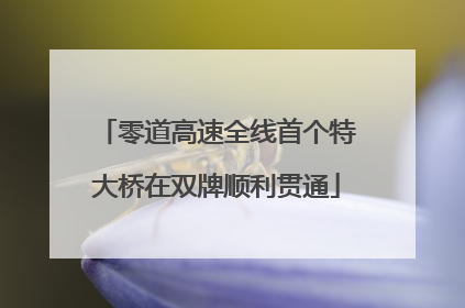 零道高速全线首个特大桥在双牌顺利贯通