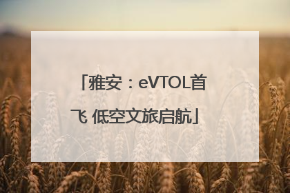雅安：eVTOL首飞 低空文旅启航
