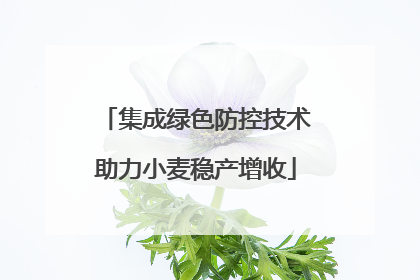 集成绿色防控技术助力小麦稳产增收