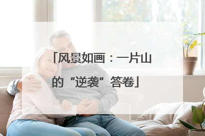 风景如画：一片山的“逆袭”答卷