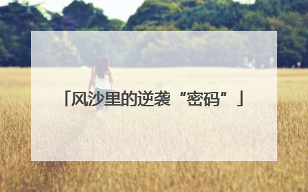 风沙里的逆袭“密码”