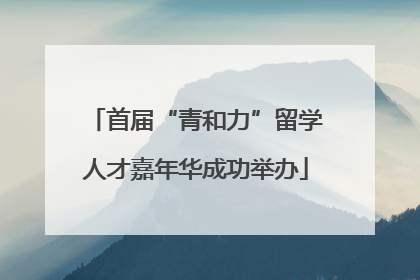 首届“青和力”留学人才嘉年华成功举办