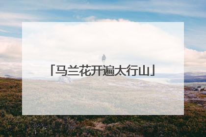 马兰花开遍太行山