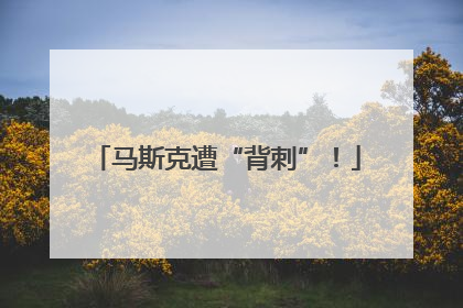 马斯克遭“背刺”！