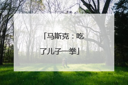 马斯克：吃了儿子一拳