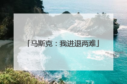 马斯克：我进退两难