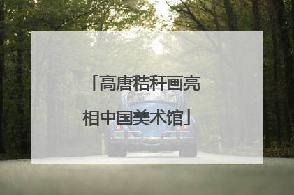 高唐秸秆画亮相中国美术馆
