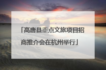 高唐县重点文旅项目招商推介会在杭州举行