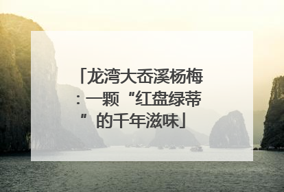 龙湾大岙溪杨梅：一颗“红盘绿蒂”的千年滋味