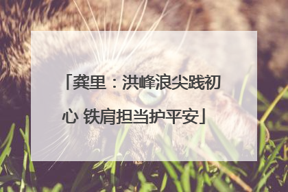 龚里：洪峰浪尖践初心 铁肩担当护平安