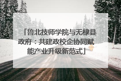 鲁北技师学院与无棣县政府：共建政校企协同赋能产业升级新范式
