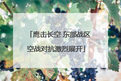 鹰击长空 东部战区空战对抗激烈展开