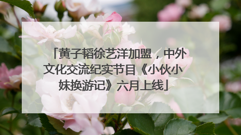 黄子韬徐艺洋加盟，中外文化交流纪实节目《小伙小妹换游记》六月上线
