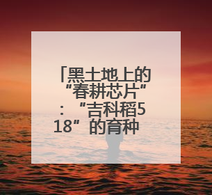 黑土地上的“春耕芯片”：“吉科稻518”的育种传奇
