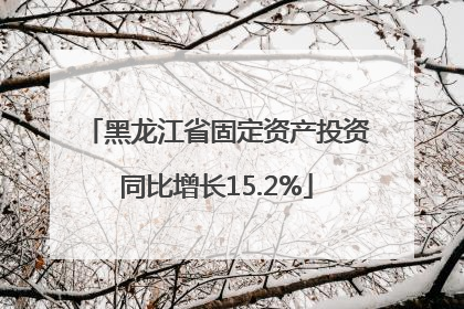 黑龙江省固定资产投资同比增长15.2%