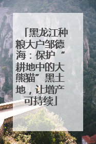 黑龙江种粮大户邹德海：保护“耕地中的大熊猫”黑土地，让增产可持续