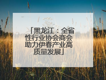 黑龙江：全省性行业协会商会助力伊春产业高质量发展