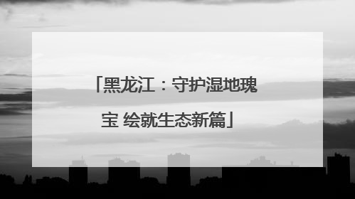 黑龙江：守护湿地瑰宝 绘就生态新篇