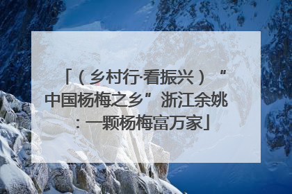 （乡村行·看振兴）“中国杨梅之乡”浙江余姚：一颗杨梅富万家
