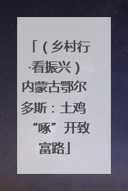 （乡村行·看振兴）内蒙古鄂尔多斯：土鸡“啄”开致富路