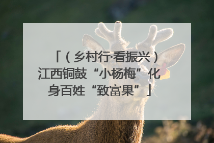 （乡村行·看振兴）江西铜鼓“小杨梅”化身百姓“致富果”