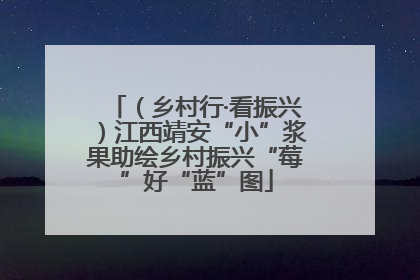 （乡村行·看振兴）江西靖安“小”浆果助绘乡村振兴“莓”好“蓝”图