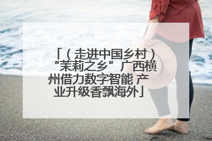（走进中国乡村）“茉莉之乡”广西横州借力数字智能 产业升级香飘海外