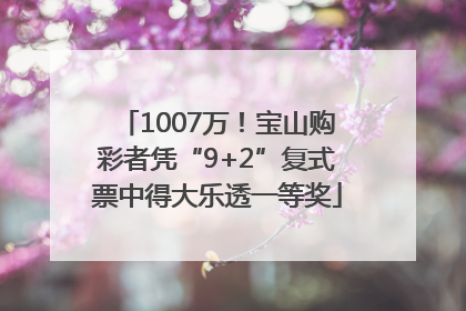 1007万！宝山购彩者凭“9+2”复式票中得大乐透一等奖