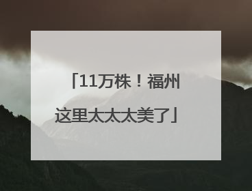 11万株！福州这里太太太美了