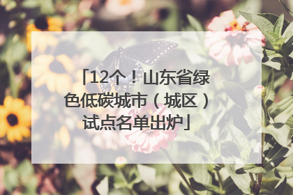 12个！山东省绿色低碳城市（城区）试点名单出炉