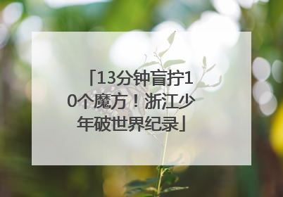 13分钟盲拧10个魔方！浙江少年破世界纪录
