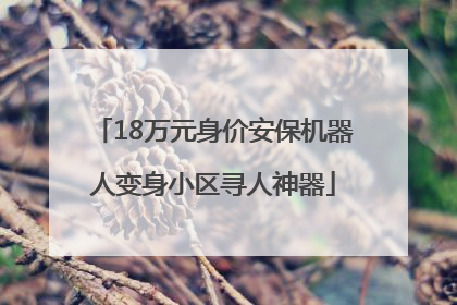 18万元身价安保机器人变身小区寻人神器