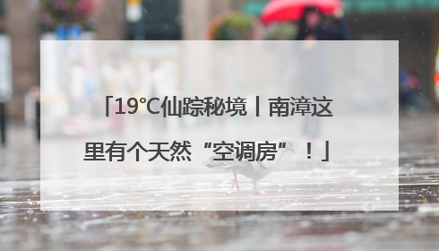 19℃仙踪秘境丨南漳这里有个天然“空调房”！